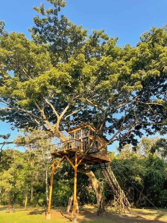 Willa Casa En El Arbol Utica Zewnętrze zdjęcie