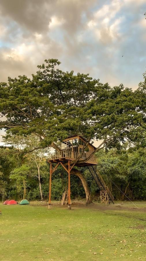 Willa Casa En El Arbol Utica Zewnętrze zdjęcie